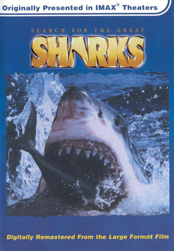 В поисках больших акул (1995)