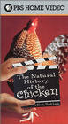 Естественная история курятины (2000)